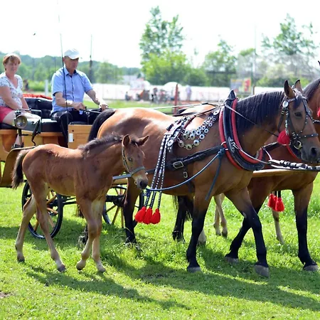 Stajnia Grudki Energylandia Séjour à la ferme Zator